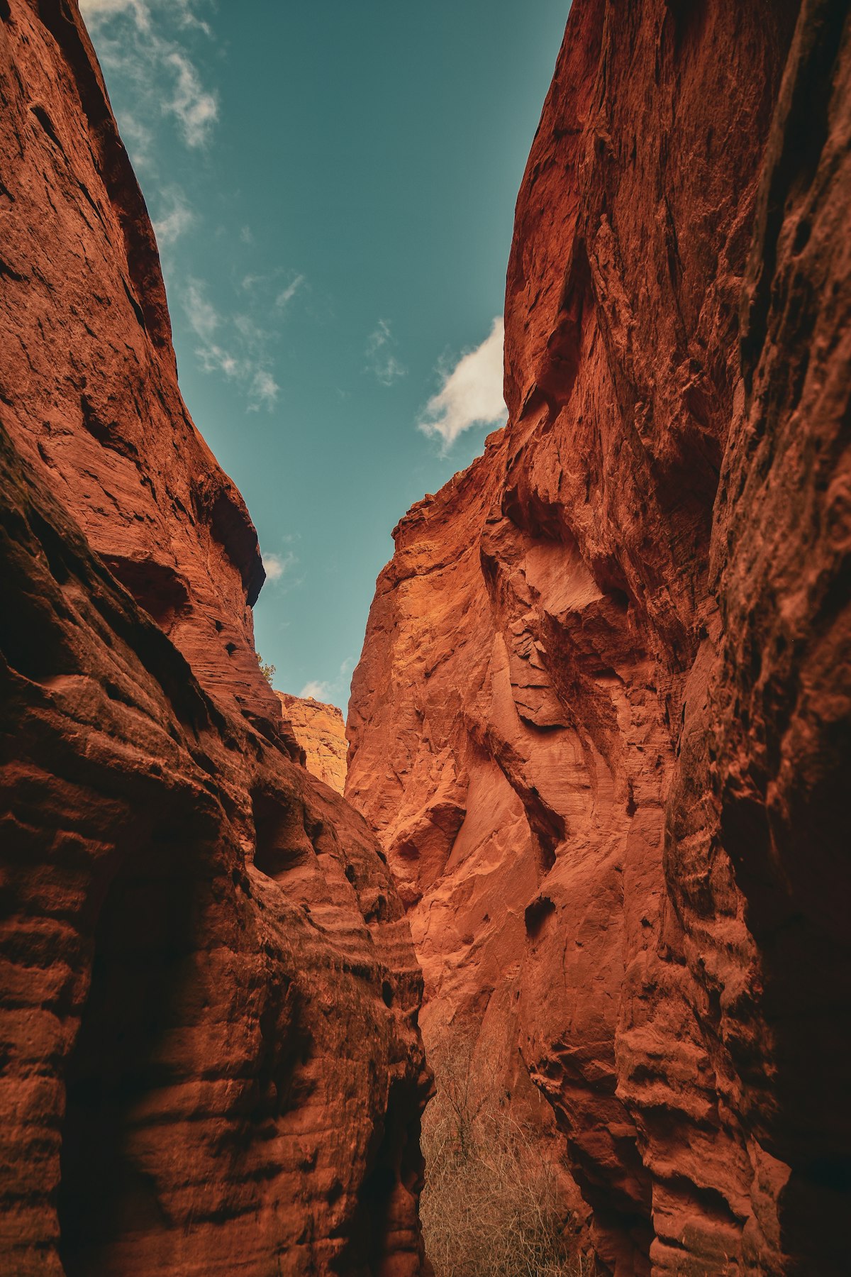 Canyon Wyld 6 mile loop